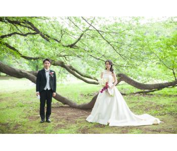 本日は新緑や海景に溶け込むオルガンザのシルクドレスについてご紹介します!<br>オルガンザのドレスはすべて天然のシルクで出来ているため<br>自然のロケーションとは相性が良くお勧めです。<br>また、実はシルクのドレスは軽いためロケーションフォトに向いています。<br><br>そのシルクドレスを着て自然の中で撮ることで<br>都会の喧騒から離れてリラックスした雰囲気で<br>お二人の自然な表情を残せることができます。<br><br>オルガンザのドレスはそのものがシンプルなため花嫁さま自身を引き立たせ<br>自然にも負けない壮大なワンシーンを思い出に残せます!<br>